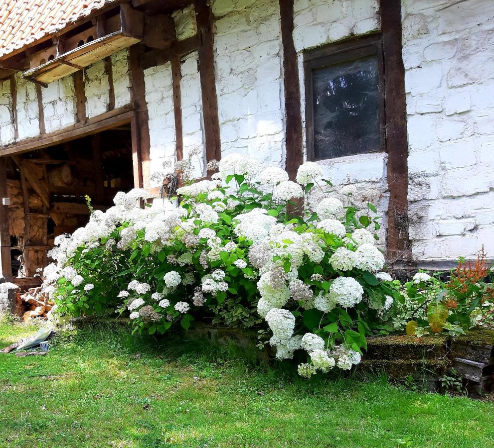 Le Domaine Des Anges Guest House Wavrans-sur-l'Aa Eksteriør bilde