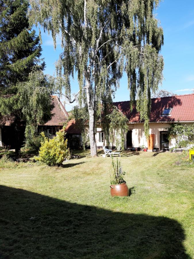 Le Domaine Des Anges Guest House Wavrans-sur-l'Aa Eksteriør bilde