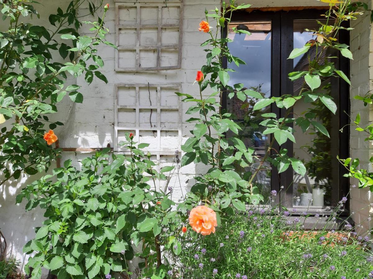 Le Domaine Des Anges Guest House Wavrans-sur-l'Aa Eksteriør bilde